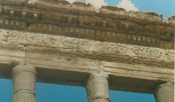 Palmyra