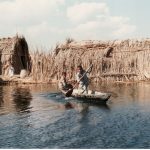 Marshes of Southern Iraq
