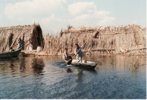 Read more about the article Marshes of Southern Iraq