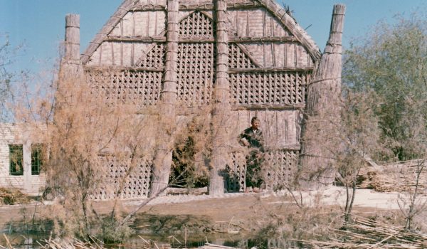 The Marshes Of Southern Iraq.